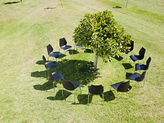 Миллиарды вреда: почему успехи многих компаний — это мираж