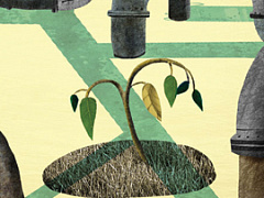 Проклятые сырьем