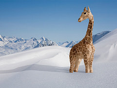 Что делать, если ваша карьера вас больше не устраивает