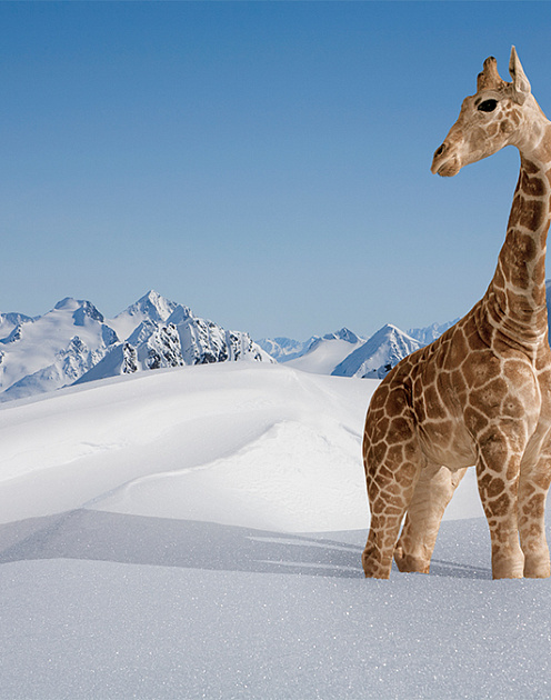 Что делать, если ваша карьера вас больше не устраивает