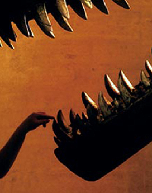 Лучшие лидеры — вечные студенты