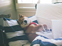 «Прекратите искать работу»: как изменится рынок труда в XXI веке