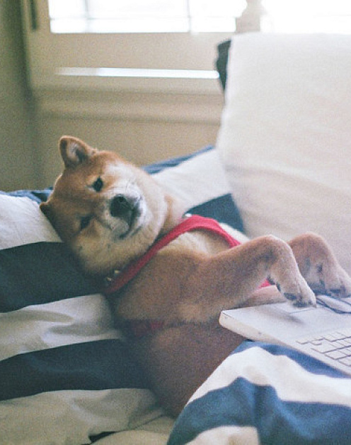 «Прекратите искать работу»: как изменится рынок труда в XXI веке