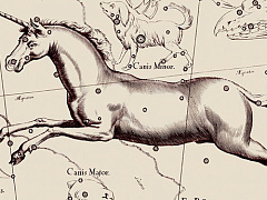 Искусство разубеждать, или Почему многие до сих пор боятся прививок