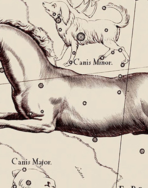 Искусство разубеждать, или Почему многие до сих пор боятся прививок