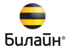 Билайн. Проблема ритейлера на насыщенном рынке сотовой связи