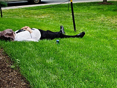 Почему перегрузка вредит и сотрудникам, и компаниям