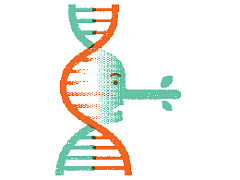 Молодежная субкультура наводит мосты