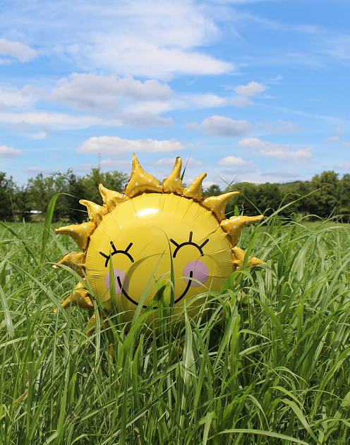 Как помочь коллеге развить эмоциональный интеллект