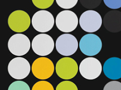 Спланированный авантюризм