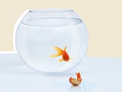 Почему плохие начальники обходятся компаниям в сотни миллиардов