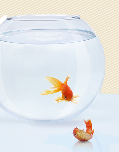 Почему плохие начальники обходятся компаниям в сотни миллиардов