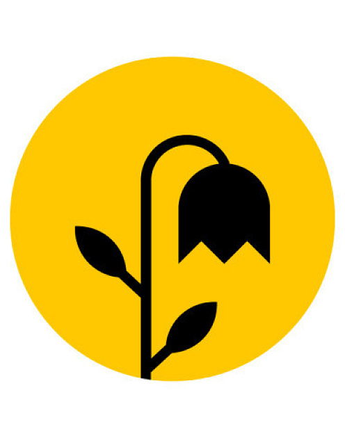 3 признака, означающих, что вам стоит похоронить свою новую идею