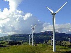 Почему компании инвестируют в зеленые технологии