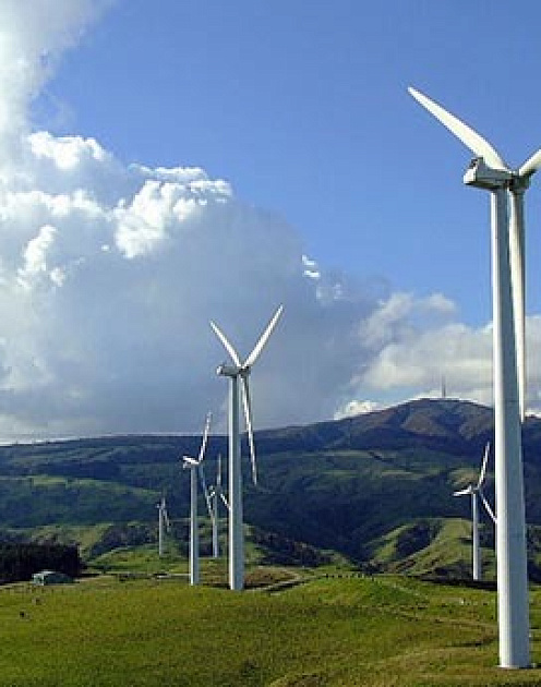 Почему компании инвестируют в зеленые технологии