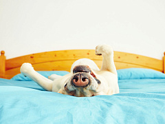 Пока все в отпуске