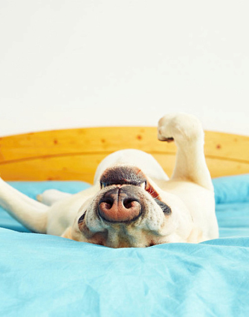 Пока все в отпуске