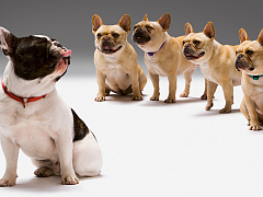 Почему на грубость сотрудников не обращают внимания