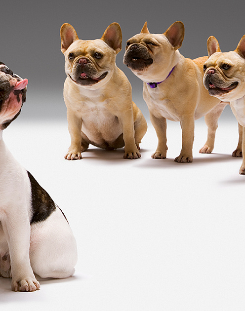 Почему на грубость сотрудников не обращают внимания