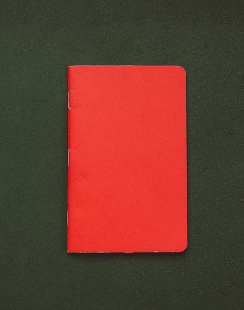 Что делать, если сотрудник обманул вас