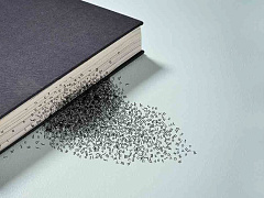 Интеллект вместо диплома