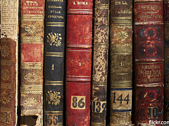 Григорий Канторович: «Университет все больше начинает походить на школу»