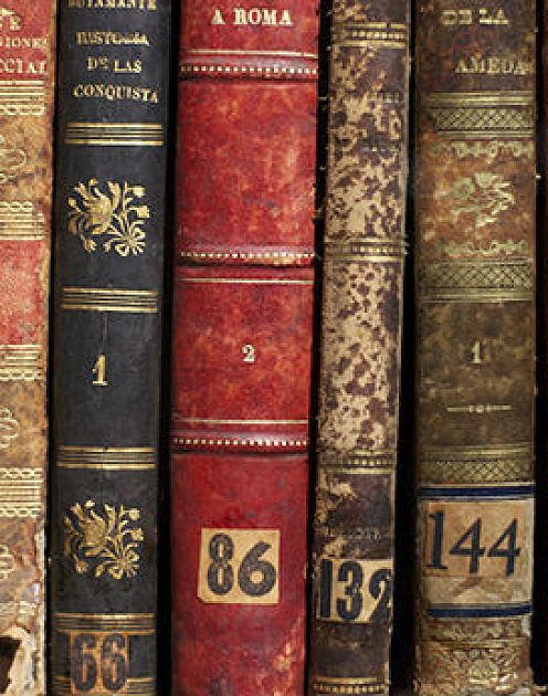 Григорий Канторович: «Университет все больше начинает походить на школу»