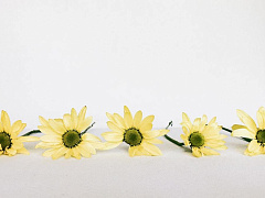 Что нужно знать о подчиненных