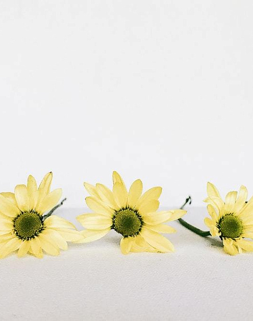 Что нужно знать о подчиненных