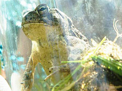 Три способа уничтожить креативность своей команды