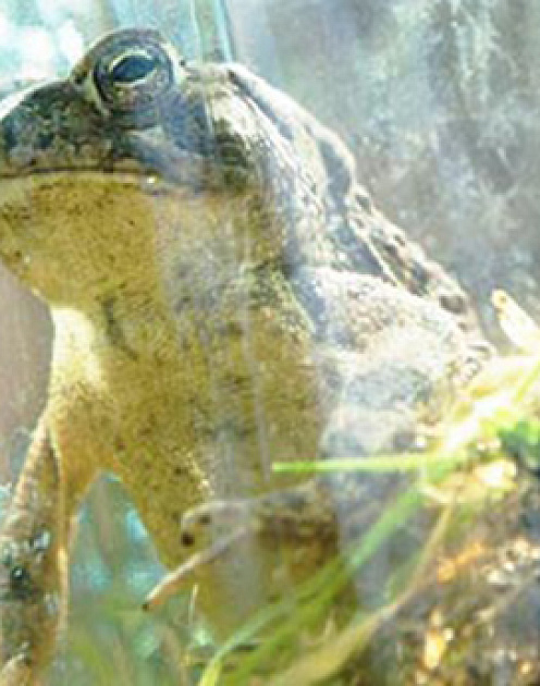 Три способа уничтожить креативность своей команды