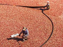 С меня хватит: как объяснить начальнику, что вы перегружены работой