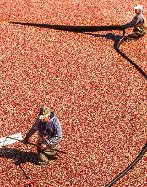 С меня хватит: как объяснить начальнику, что вы перегружены работой