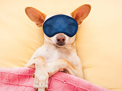 «Нет сил»: пять приемов, которые помогут быстро восстановиться