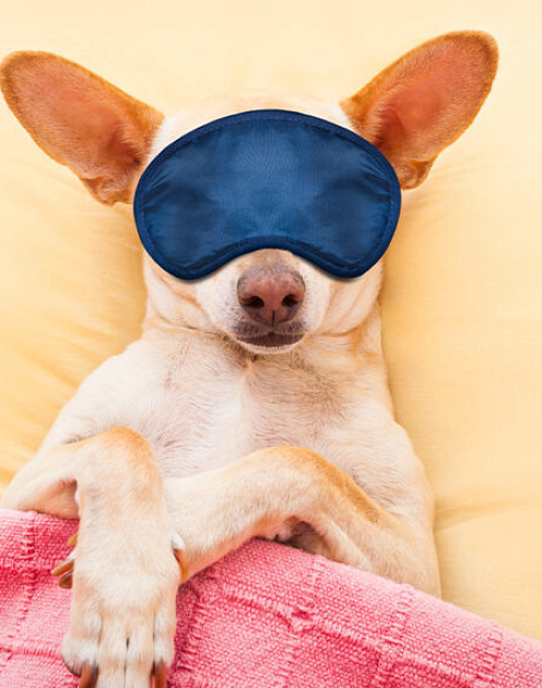 «Нет сил»: пять приемов, которые помогут быстро восстановиться