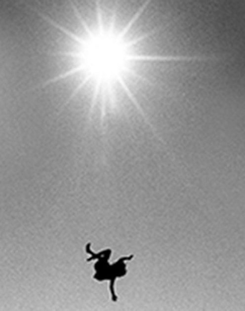 6 мифов о делегировании полномочий