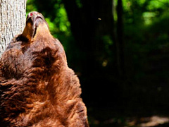 Качество, которое может помочь вашей карьере