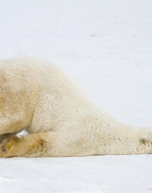 Как работать и жить, когда вас одолевают стресс, тревога и горе