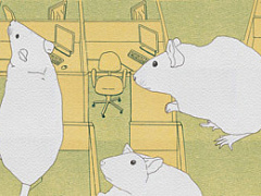 Веришь — не веришь