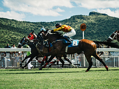 Ставьте не на лошадь, а на жокея