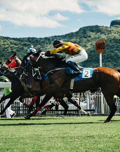 Ставьте не на лошадь, а на жокея