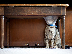 Пять ловушек, которые увеличивают ваш стресс на работе