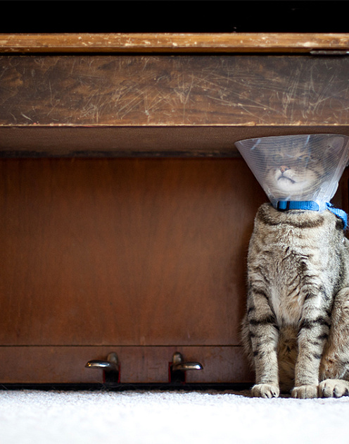 Пять ловушек, которые увеличивают ваш стресс на работе