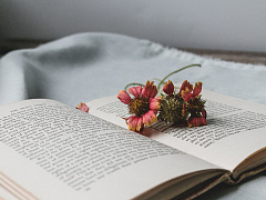 Антикризисная подборка: какие книги помогут справиться с трудностями 