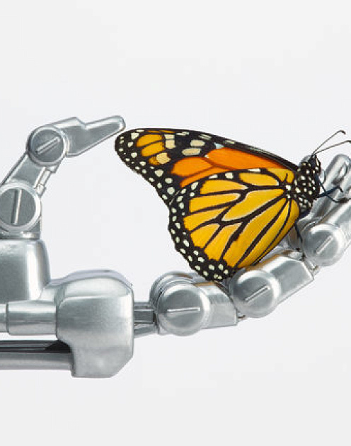 Разум, ИИ, чувства