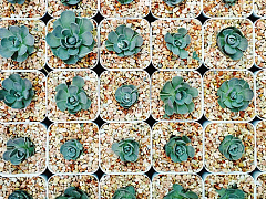 7 способов спланировать свое время (даже если вы — перфекционист)