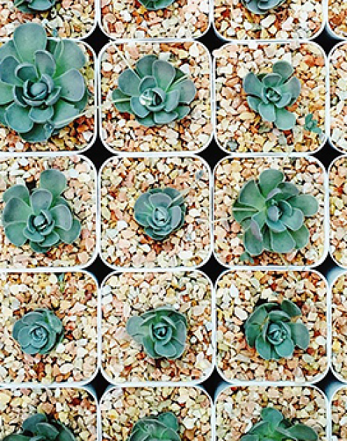 7 способов спланировать свое время (даже если вы — перфекционист)