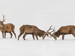 Что делать, если вам говорят «нет»