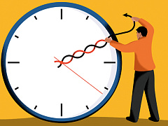 Четырехдневная рабочая неделя: за и против