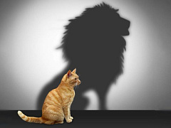 Почему руководящие должности занимают некомпетентные люди